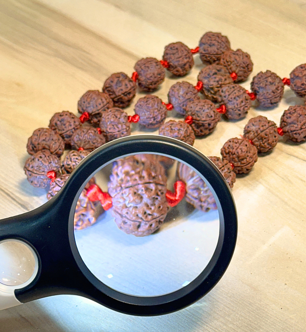 Rudraksha Testing Lab